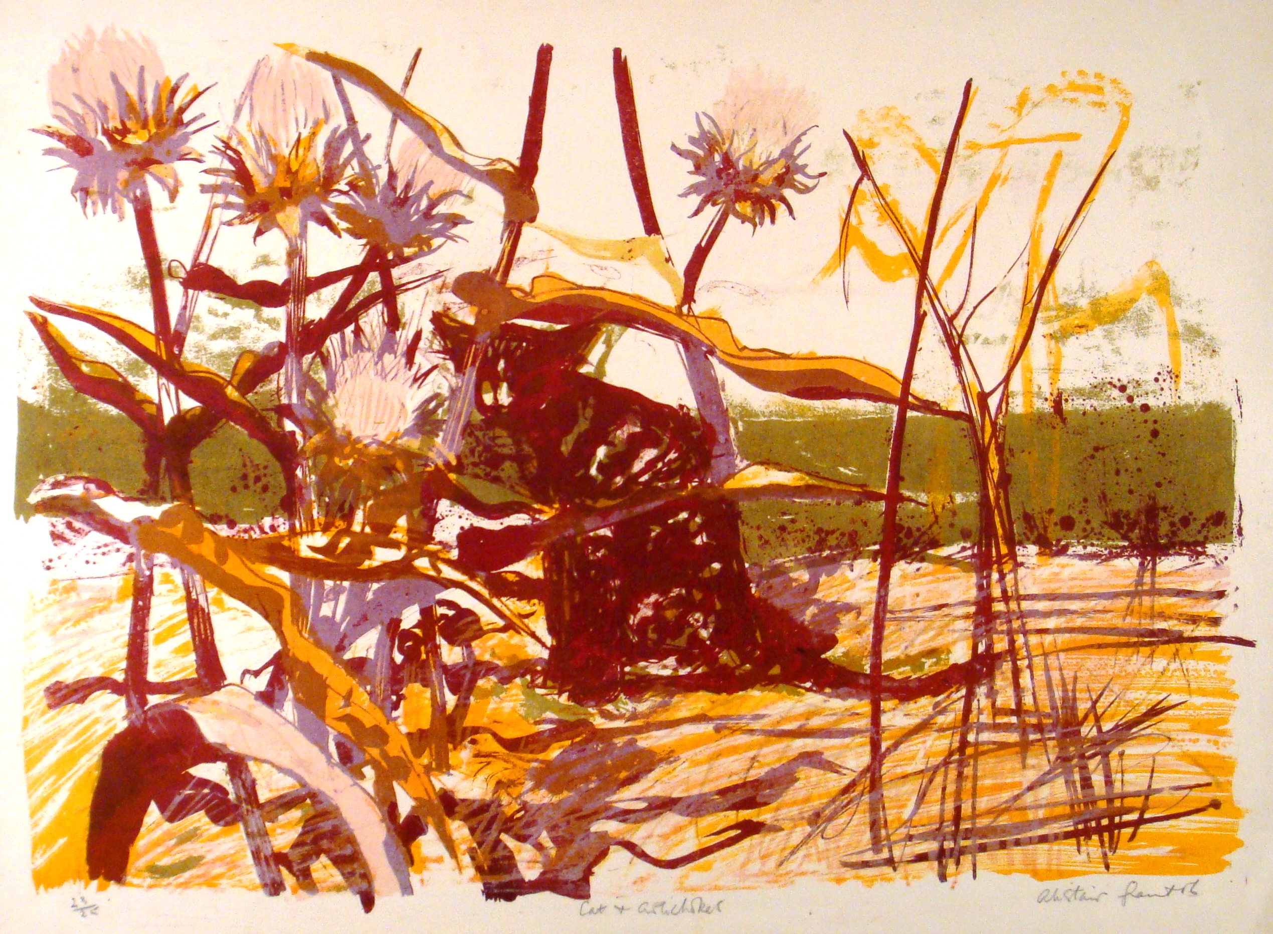 Cat & Artichokes — Alistair Grant, lithograph